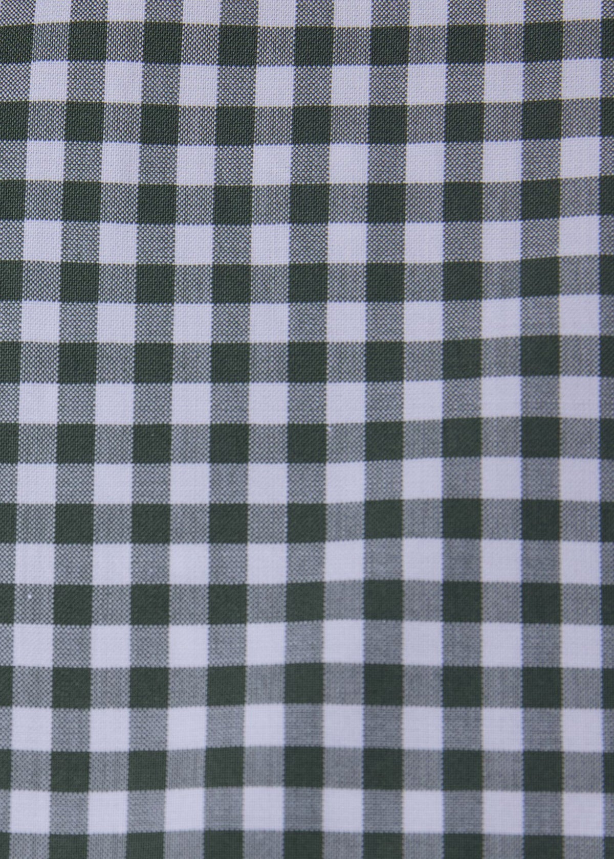 Paul Stuart Trusted | Gingham Button Down Shirt
