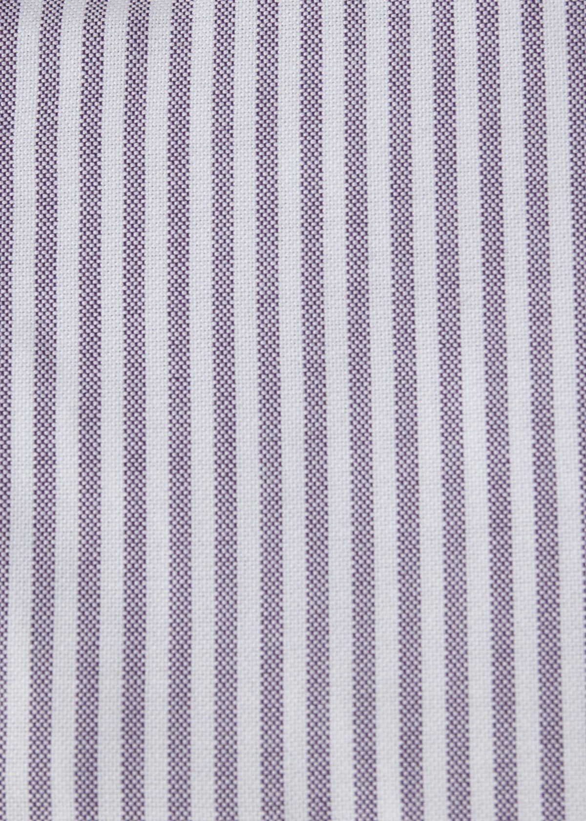 Paul Stuart Premium | Stripe Oxford Button-Down Shirt