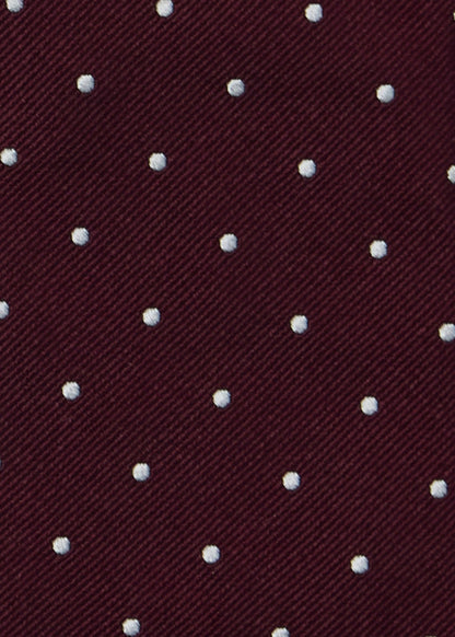 Paul Stuart Special Offer | Polka Dot Silk Tie