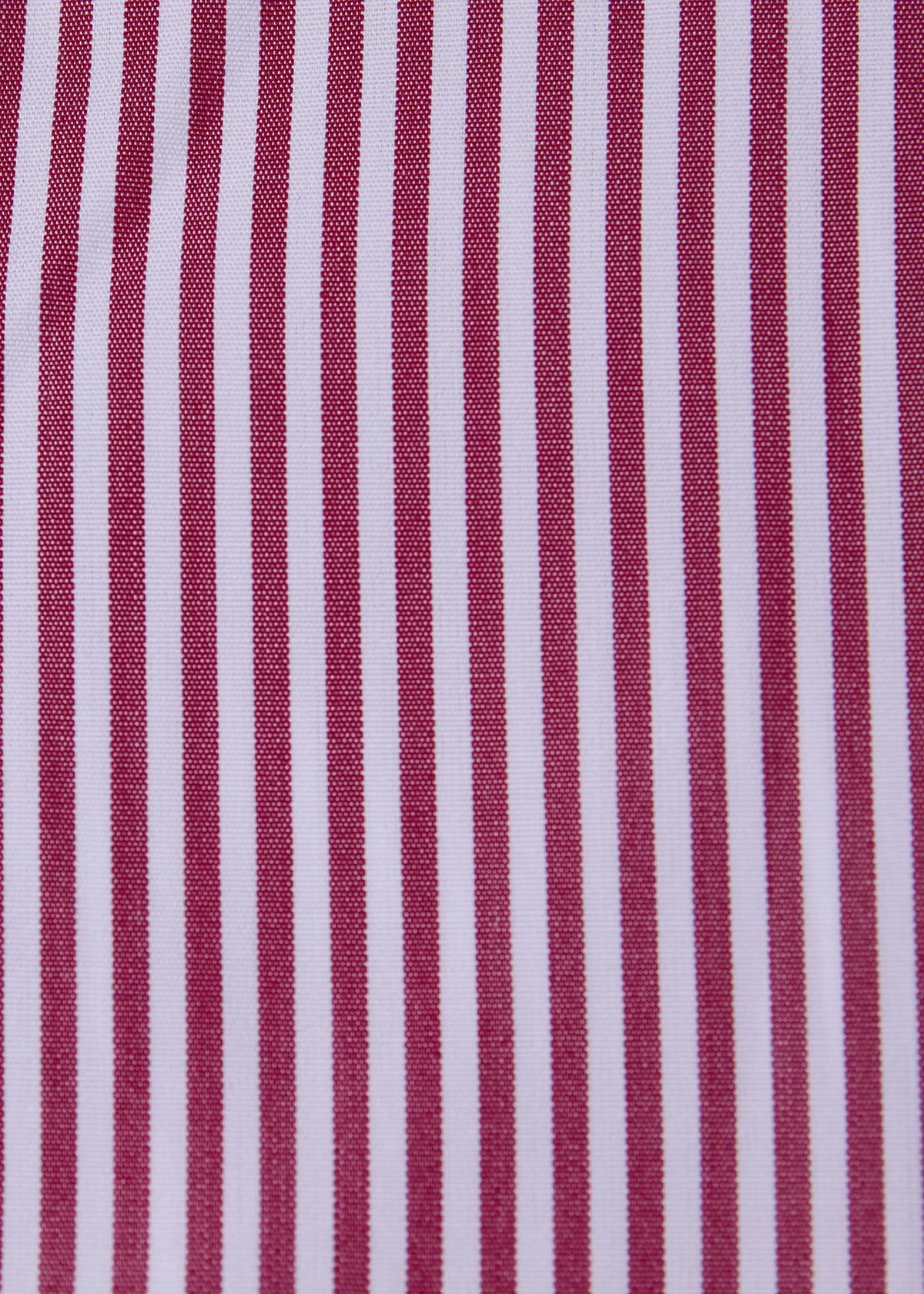 Paul Stuart Smart Buy | Stripe Button-Down Shirt