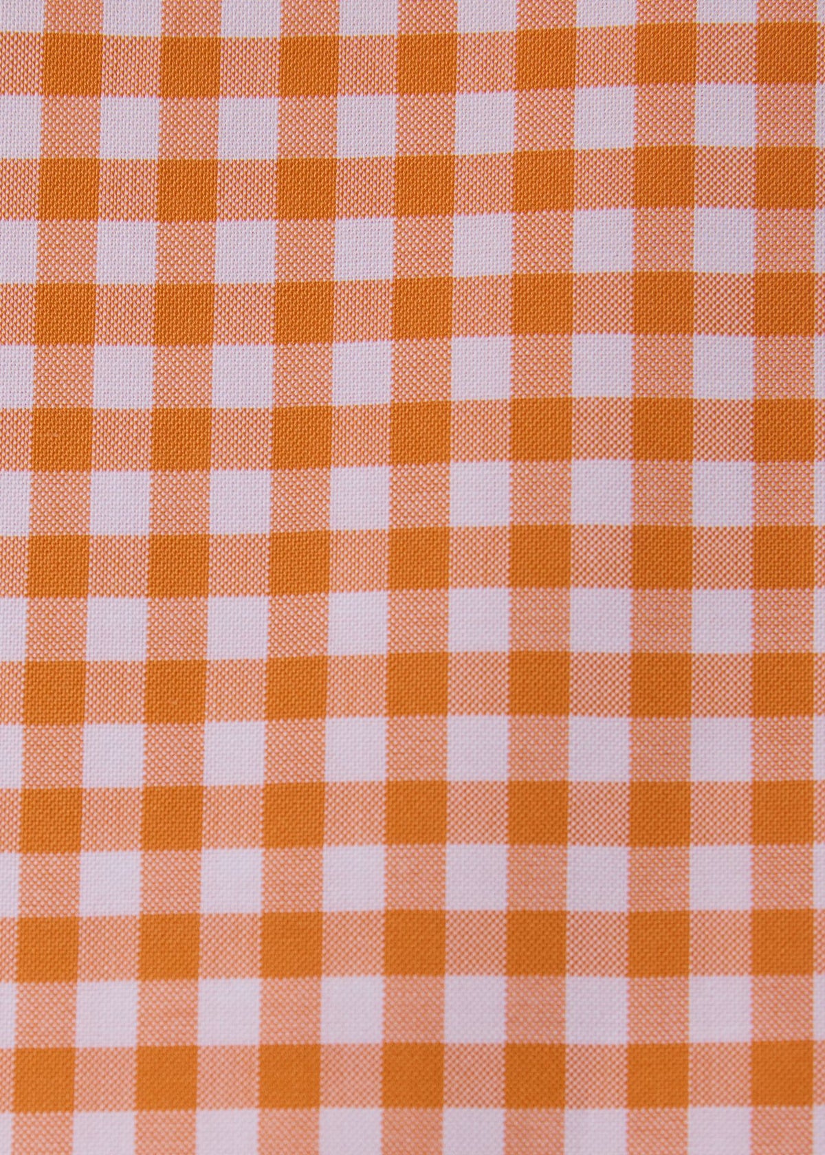 Paul Stuart Top Pick | Gingham Button Down Shirt
