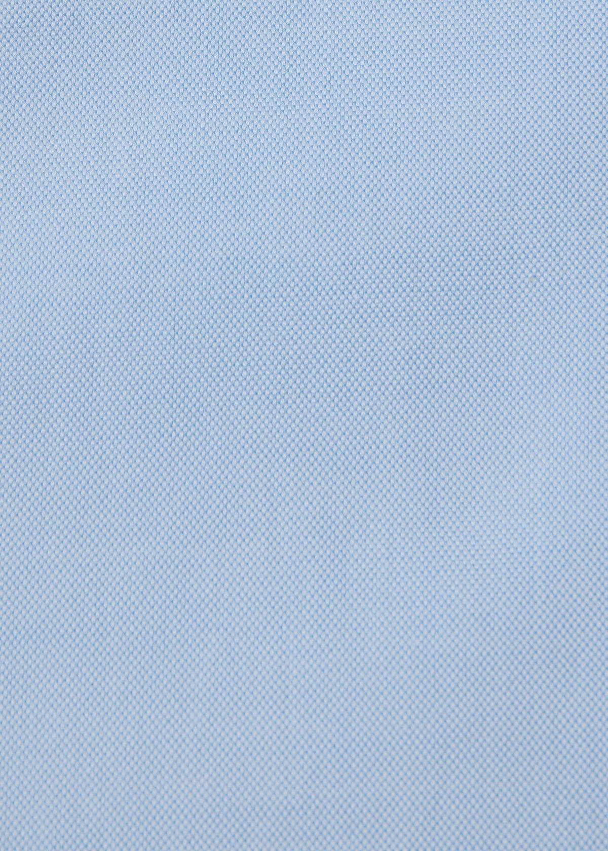Paul Stuart Trusted | Oxford Spread Collar Dress Shirt