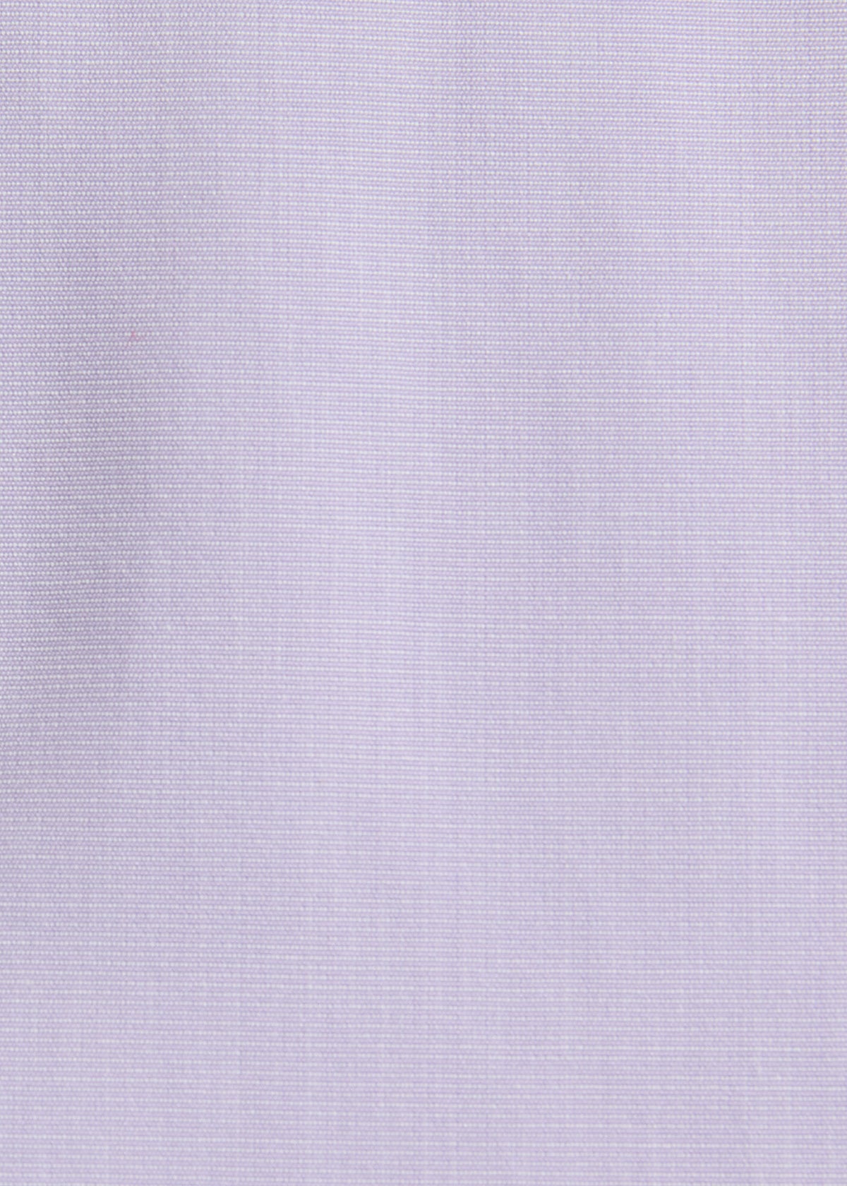 Paul Stuart Popular | Contrast Collar Cotton Dress Shirt