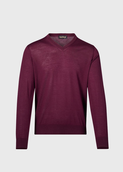 Paul Stuart Customer Favorite | Essential Merino Wool V-neck Sweater