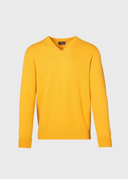 Paul Stuart Quality | Classic Cashmere V-Neck Sweater