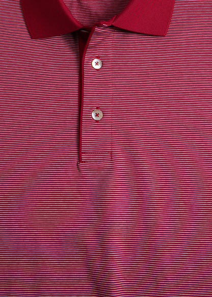 Paul Stuart Trusted | Italian Cotton Micro Stripe Polo