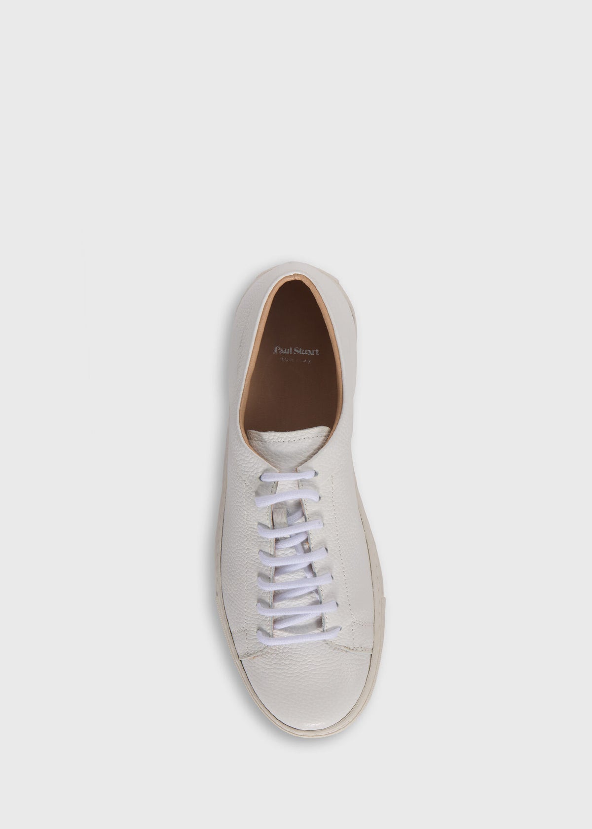 Paul Stuart Trusted | Gaston Calf Leather Sneaker