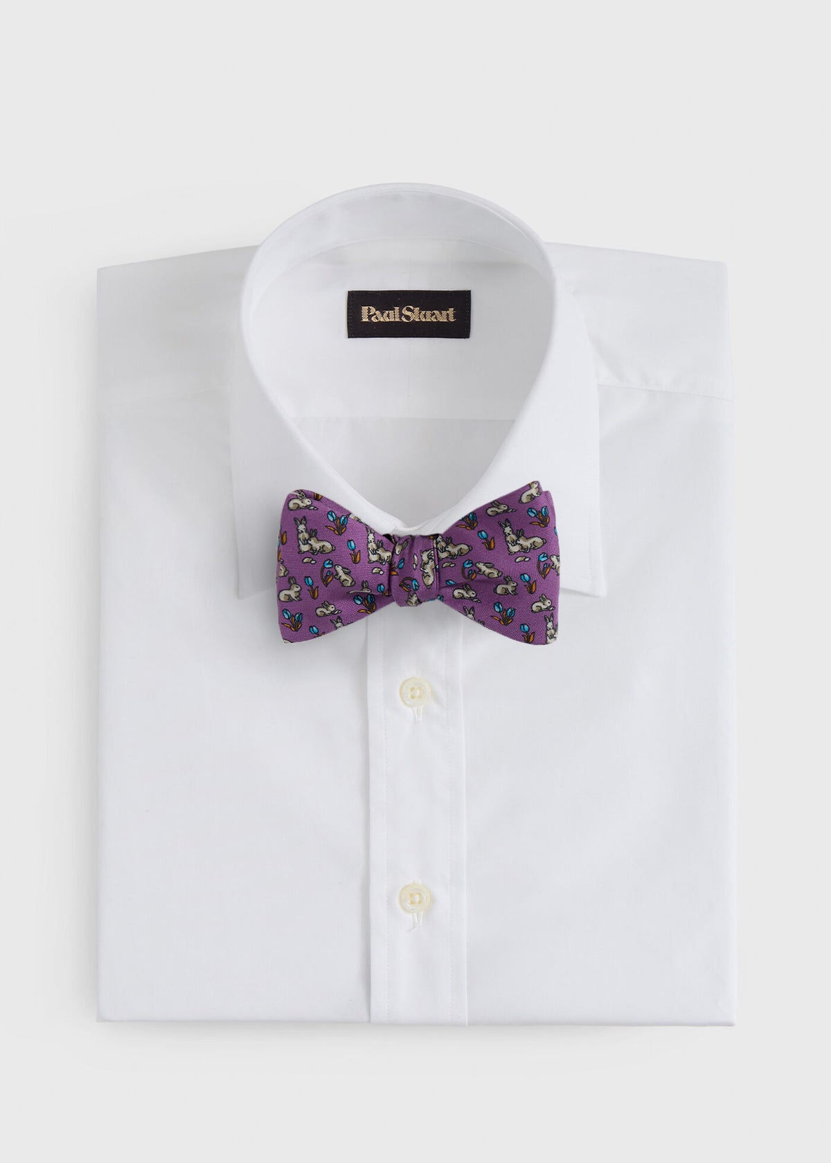 Paul Stuart Great Value | Silk Printed Bow Tie