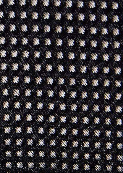 Paul Stuart Everyday | Woven Silk Micro Dot Tie