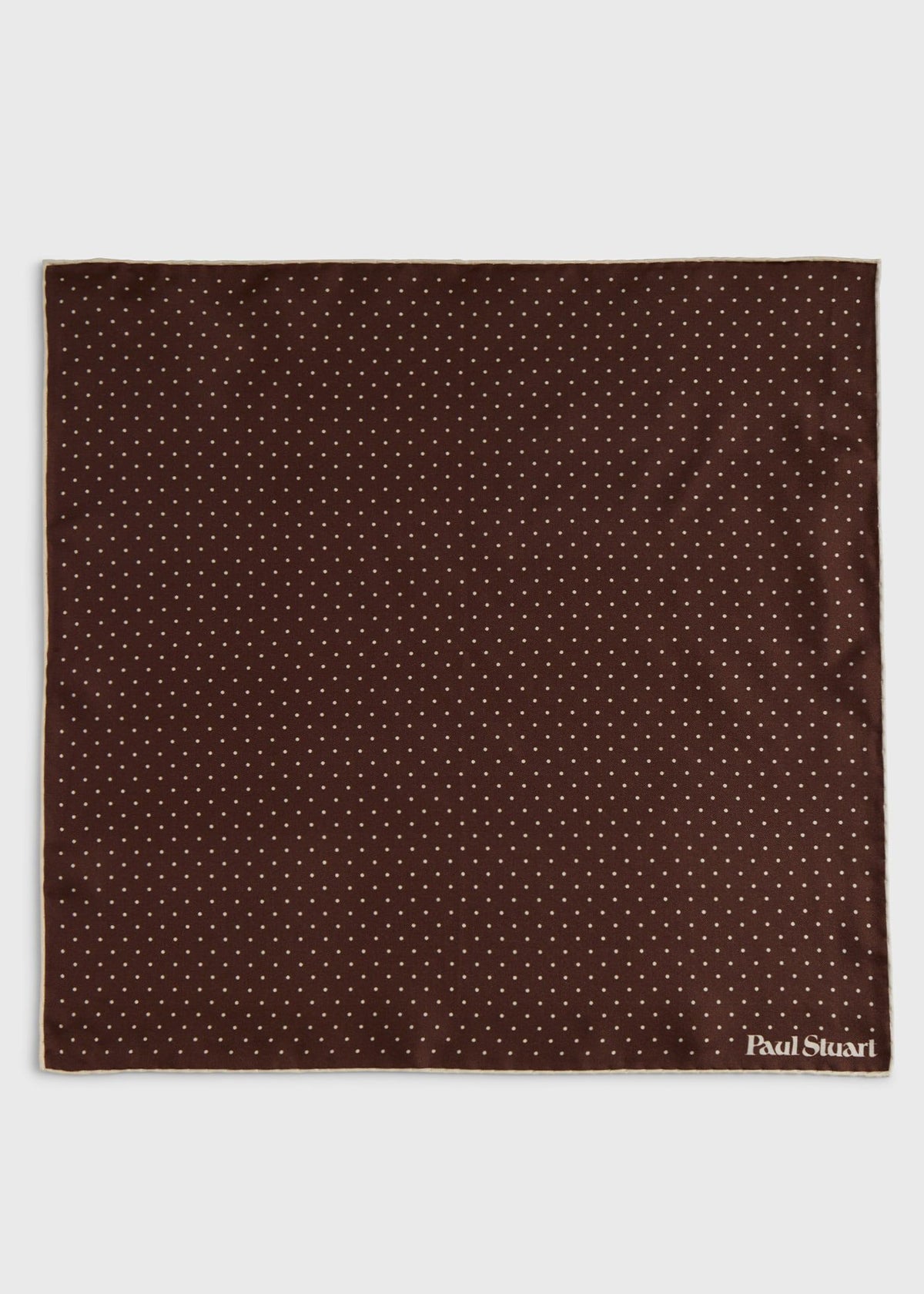 Paul Stuart Customer Favorite | Printed Silk Dot Pocket Square
